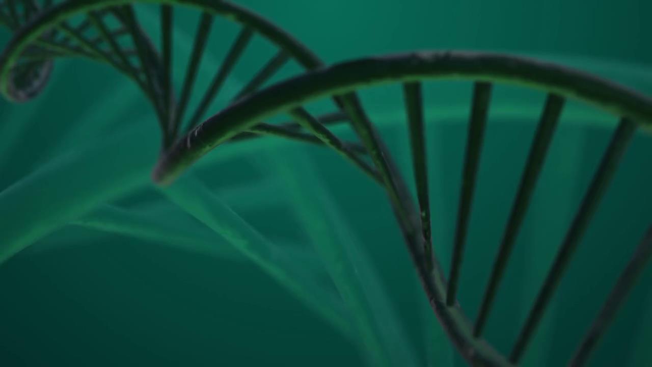 Kontakt | eDNA - Die Erfolgs-DNA für